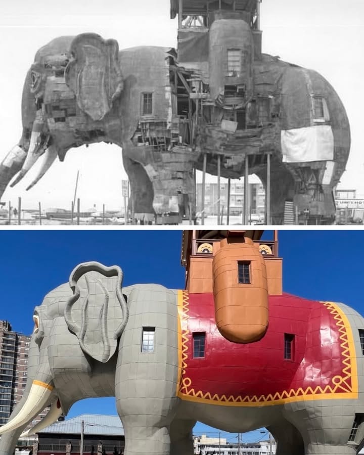 Lucy the Elephant