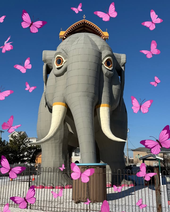 Lucy the Elephant