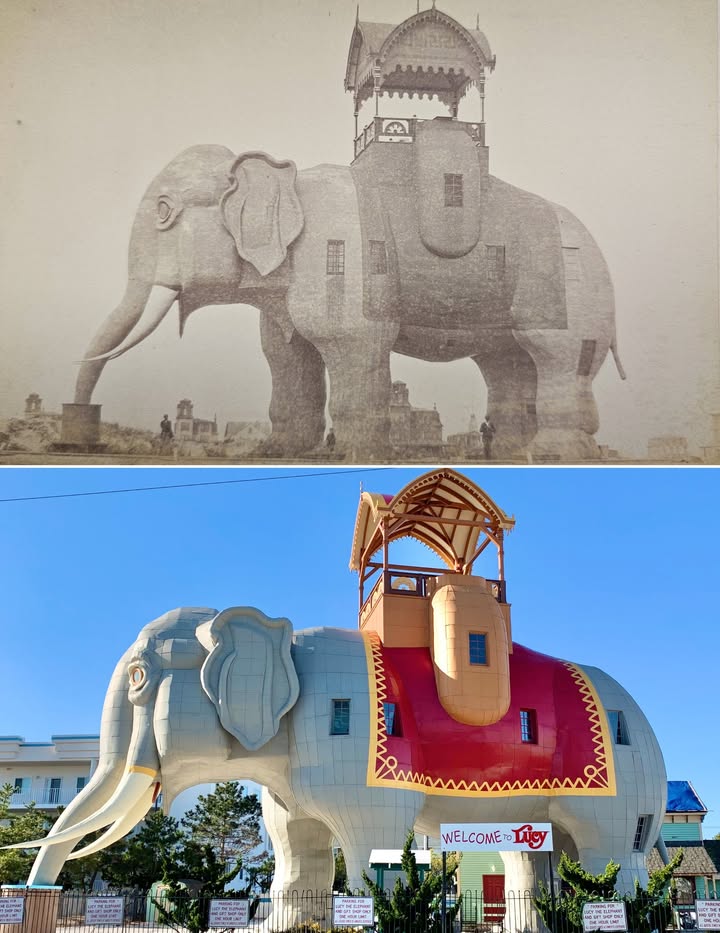 Lucy the Elephant