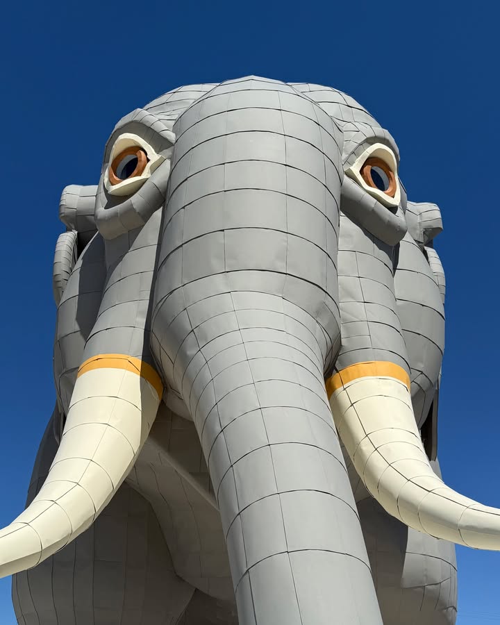 Lucy the Elephant