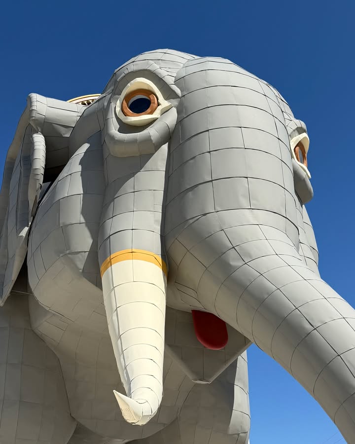 Lucy the Elephant