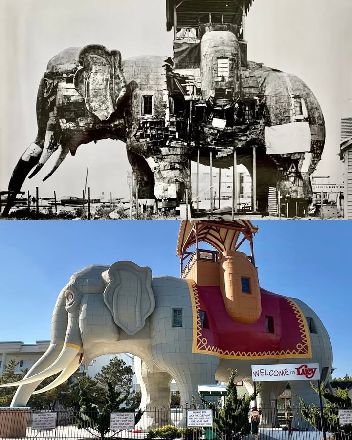Lucy the Elephant